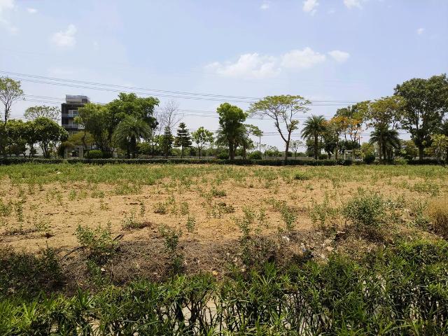 Residential Plot in Manesar for resale Gurgaon. The reference number is 14695365