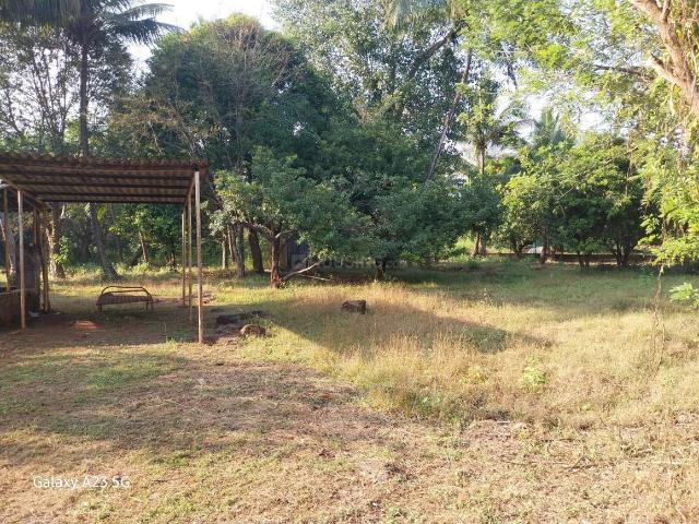 Residential Plot in Mangaon for resale Raigad. The reference number is 19312481