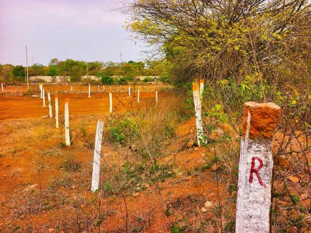 Residential Plot in Mangalpalle for resale Hyderabad. The reference number is 20937585