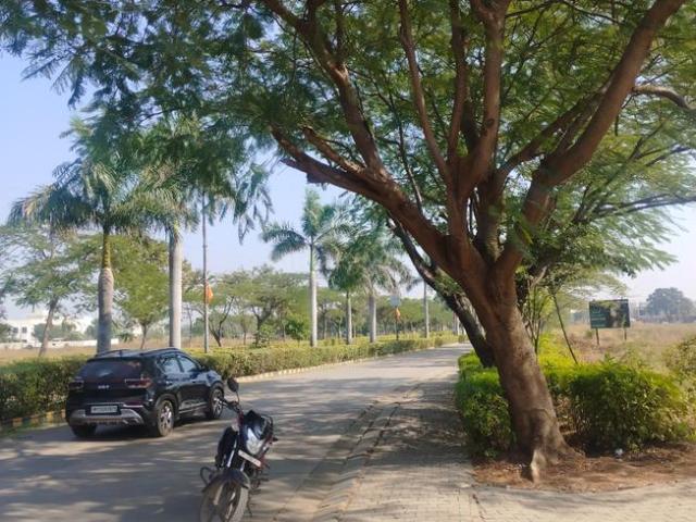 Residential Plot in Manglia for resale Indore. The reference number is 17190171