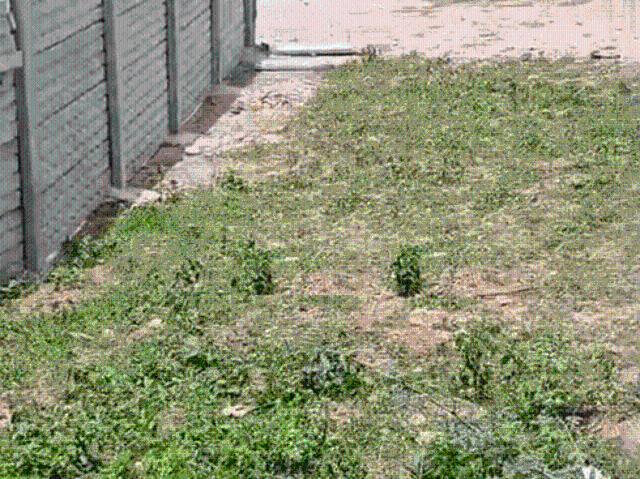 Residential Plot in Mankhal for resale Hyderabad. The reference number is 17621583