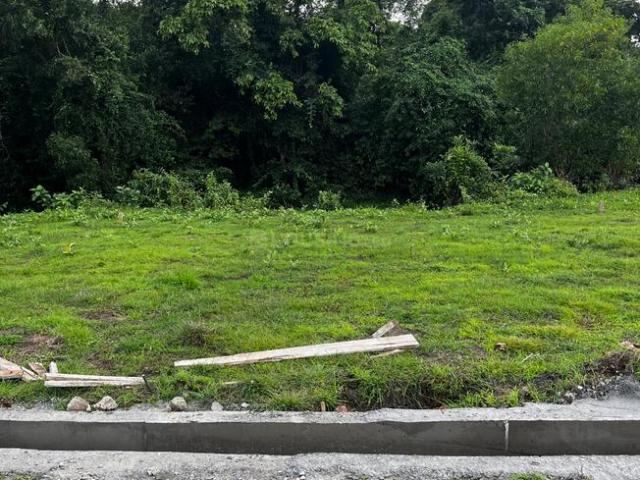 Residential Plot in Kasai for resale Sindhudurg. The reference number is 17962079
