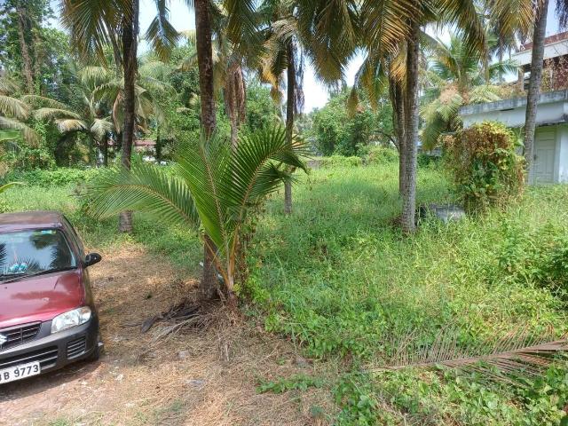 Residential Plot in Maradu for resale Kochi. The reference number is 19534415