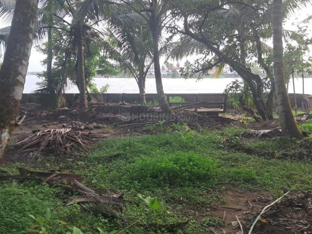 Residential Plot in Maradu for resale Kochi. The reference number is 20816938
