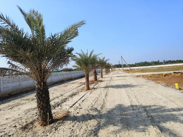 Residential Plot in Mathur for resale Pudukkottai. The reference number is 19751196