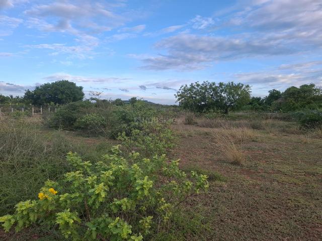 Residential Plot in Mathur for resale Tiruchirappalli. The reference number is 20539910