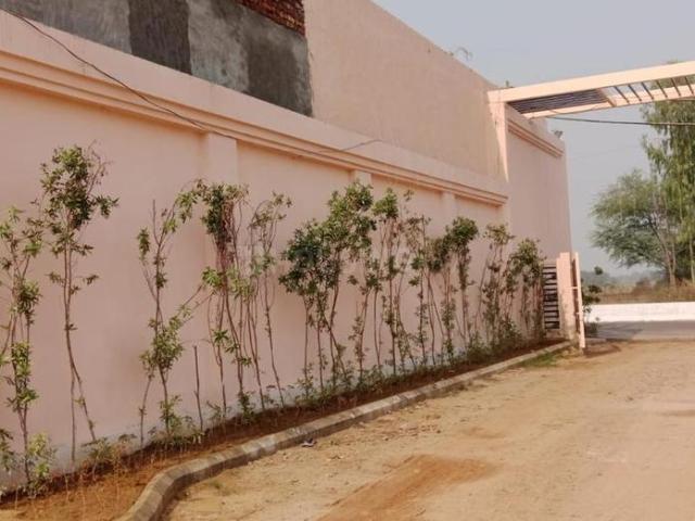 Residential Plot in Maujpur for resale Faridabad. The reference number is 20613073