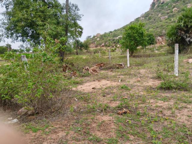 Residential Plot in Mazidpur for resale Hyderabad. The reference number is 20829467