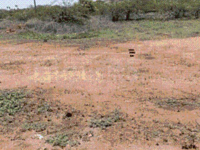 Residential Plot in Meenakshi Amman Nagar for resale Madurai. The reference number is 6367708