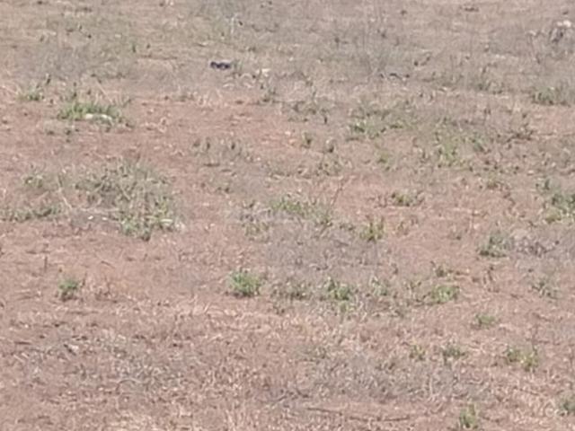 Residential Plot in Melmaruvathur for resale Chennai. The reference number is 20516903