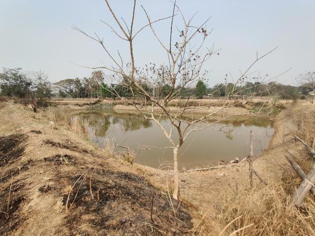 Residential Plot in Mirza for resale Guwahati. The reference number is 19883767