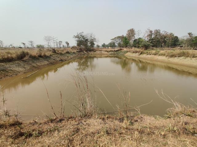 Residential Plot in Mirza for resale Guwahati. The reference number is 19965186