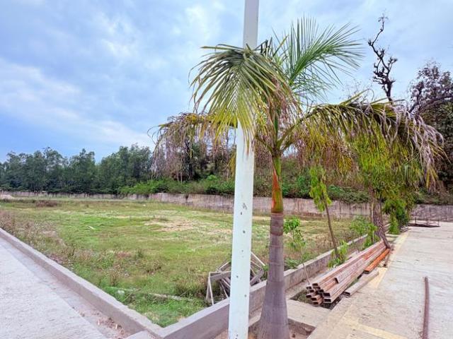 Residential Plot in Mohabbewala for resale Dehradun. The reference number is 20274407