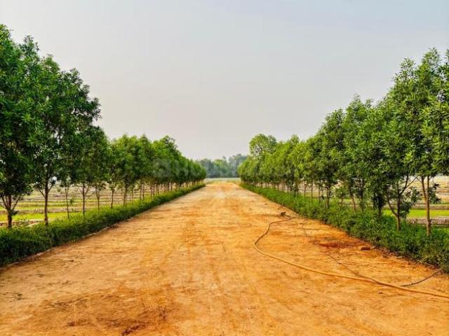 Residential Plot in Mohanlalganj for resale Lucknow. The reference number is 20393438