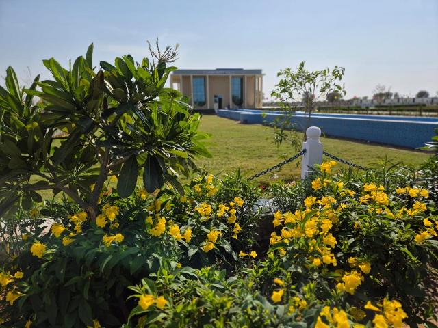 Residential Plot in Mohanpura for resale Jaipur. The reference number is 20858921