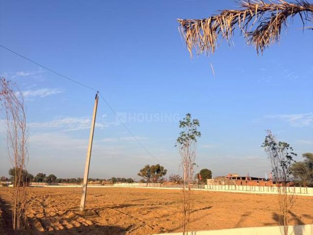 Residential Plot in Morsar for resale Jaipur. The reference number is 20645621
