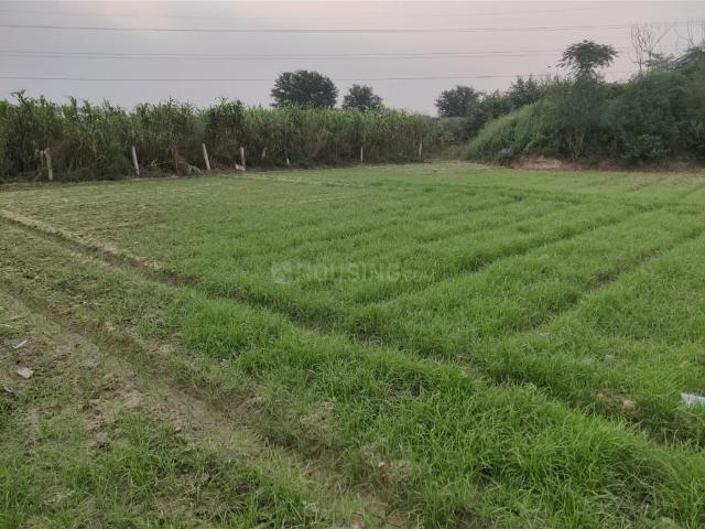 Residential Plot in Morti for resale Ghaziabad. The reference number is 20574146
