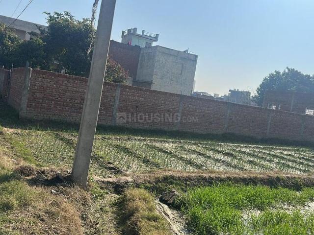 Residential Plot in Nabha for resale Zirakpur. The reference number is 20176025