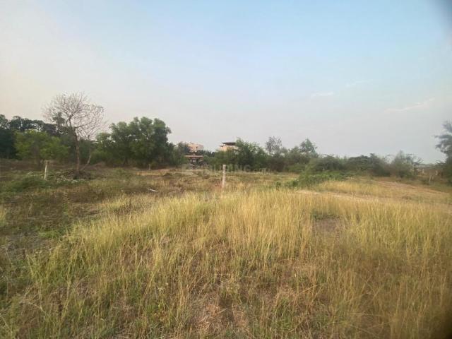Residential Plot in Nagaon for resale Alibag. The reference number is 20752116