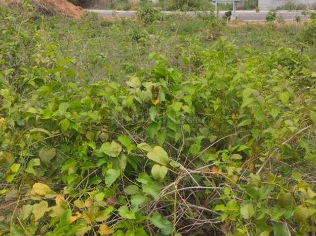 Residential Plot in Nadaprabhu Kempegowda layout for resale Bengaluru. The reference number is 20436495