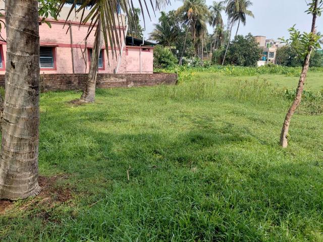 Residential Plot in Naihati for resale North 24 Parganas District. The reference number is 20570436