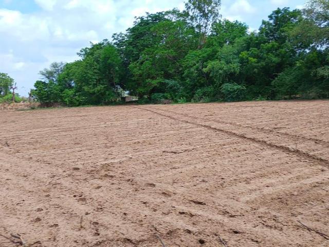 Residential Plot in Nalsarovar for resale Ahmedabad. The reference number is 20042676