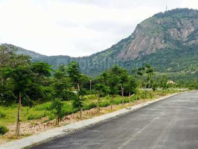 Residential Plot in Nandi Hills for resale Chikballapur District. The reference number is 20804813