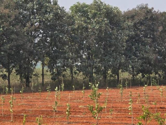 Residential Plot in Narayankhed for resale Sangareddy. The reference number is 18666172