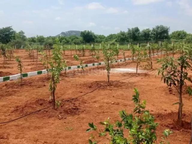 Residential Plot in Narayankhed for resale Sangareddy. The reference number is 20647182