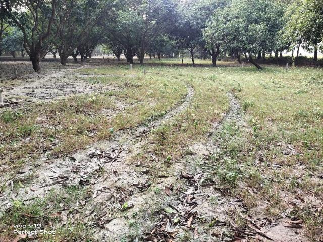 Residential Plot in Narayanpur Anant for resale Muzaffarpur. The reference number is 16162465