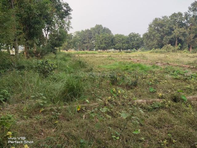 Residential Plot in Narayanpur Anant for resale Muzaffarpur. The reference number is 16167746