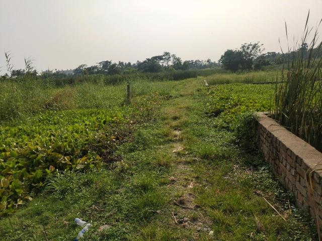 Residential Plot in Narendrapur for resale Kolkata. The reference number is 20326605