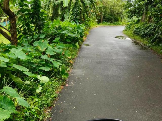 Residential Plot in Natagachi for resale Kolkata. The reference number is 20987291
