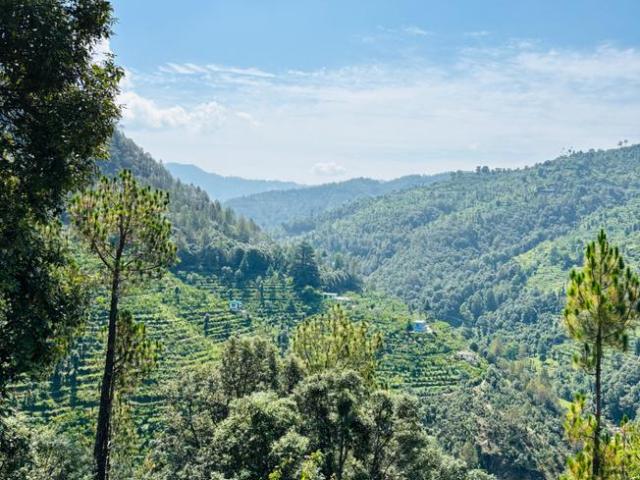Residential Plot in Nathuakhan for resale Nainital. The reference number is 20815190
