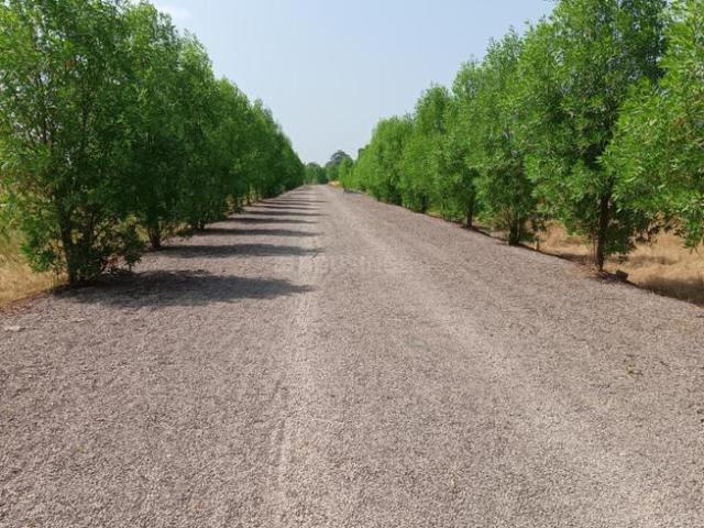 Residential Plot in Naya Raipur for resale Raipur. The reference number is 19684907