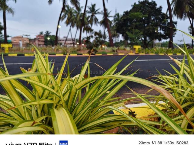 Residential Plot in Nazarathpettai, Thiruvallur for resale Chennai. The reference number is 20632194