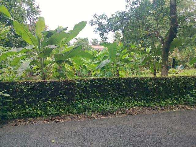 Residential Plot in Nedumbassery for resale Aluva. The reference number is 20942155