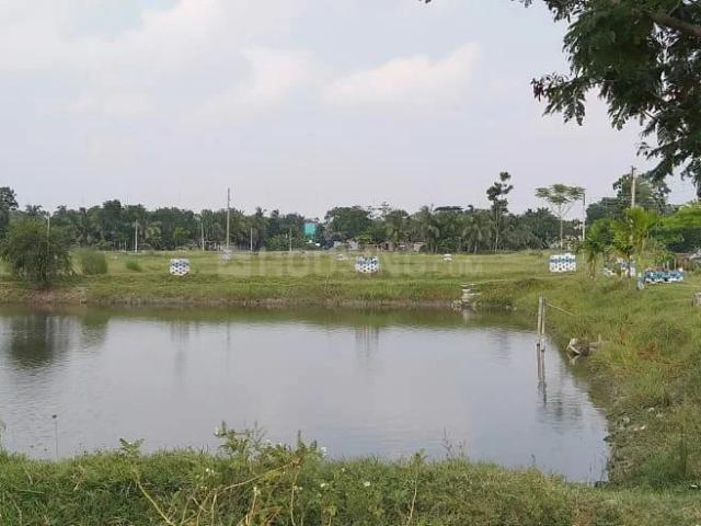 Residential Plot in Nepalgange for resale Kolkata. The reference number is 18607749