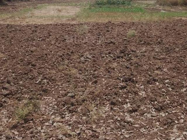 Residential Plot in Nere for resale Navi Mumbai. The reference number is 20268945