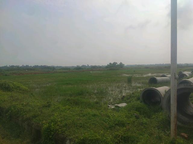 Residential Plot in New Town for resale Kolkata. The reference number is 15132029