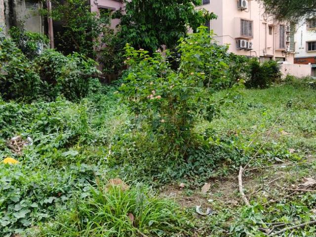Residential Plot in New Town for resale Kolkata. The reference number is 19757555