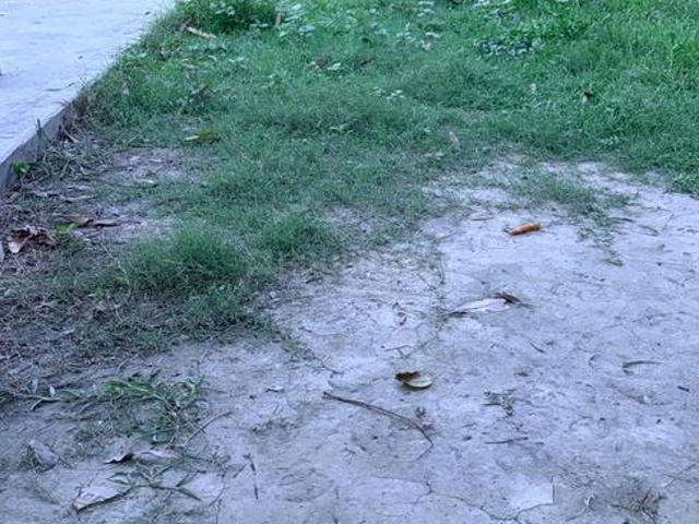 Residential Plot in New Town for resale Kolkata. The reference number is 20577481