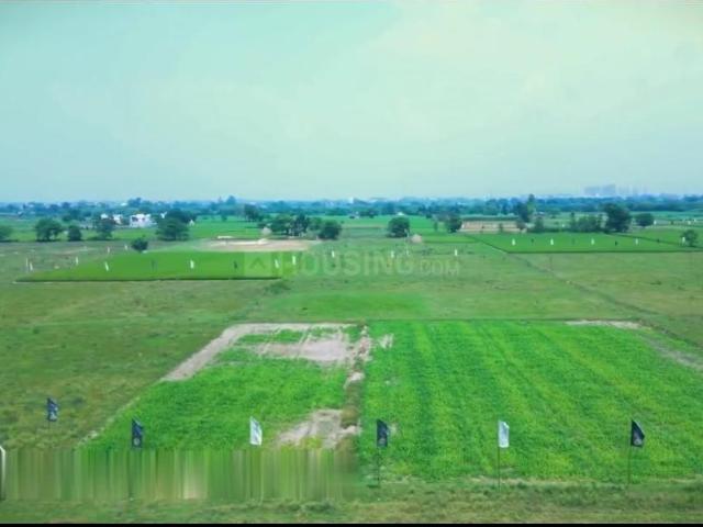 Residential Plot in New Chandigarh for resale Chandigarh. The reference number is 19568583