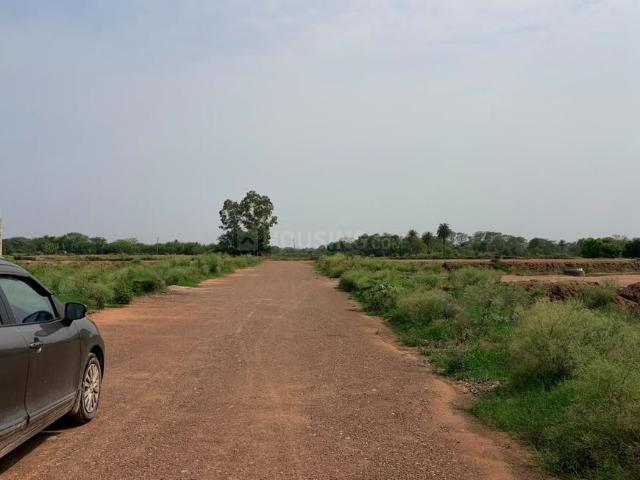 Residential Plot in New Chandigarh for resale Chandigarh. The reference number is 20676920