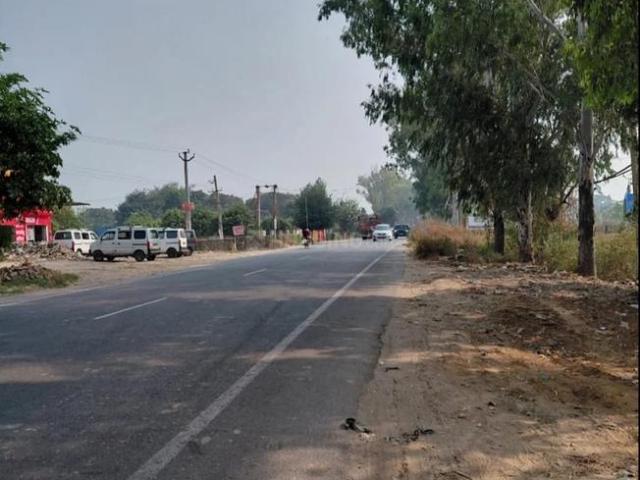 Residential Plot in New Colony for resale Palwal. The reference number is 20294436