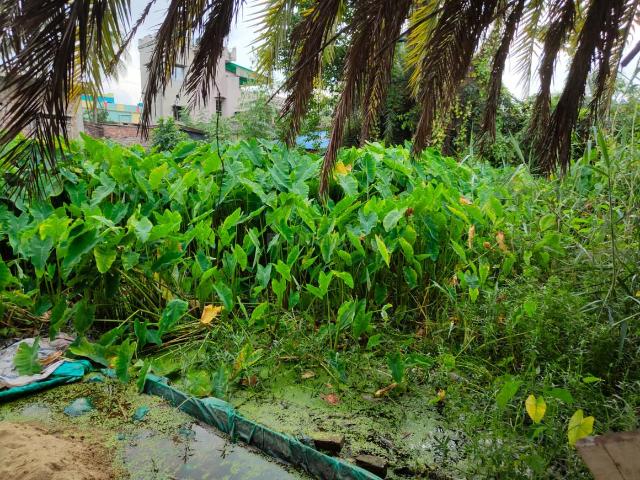 Residential Plot in Nimta for resale Kolkata. The reference number is 11216153