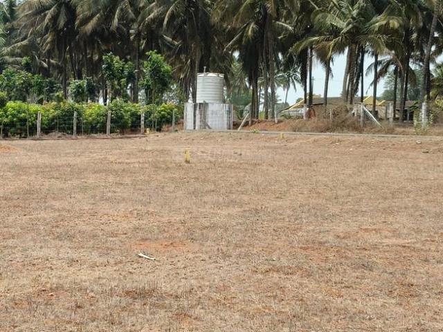 Residential Plot in Othakalmandapam for resale Coimbatore. The reference number is 20417559