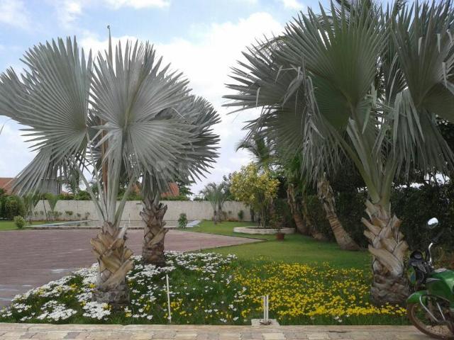 Residential Plot in Old Dhamtari Road for resale Raipur. The reference number is 18046447