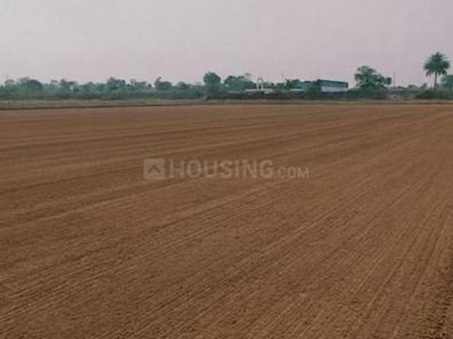 Residential Plot in Old Dhamtari Road for resale Raipur. The reference number is 20558466