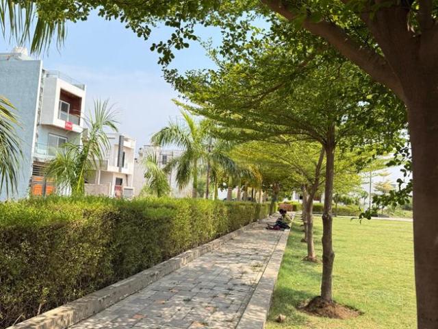 Residential Plot in Old Dhamtari Road for resale Raipur. The reference number is 20809483